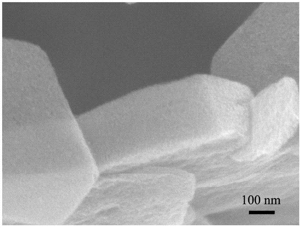 Mesoporous graphene foam as well as preparation method thereof