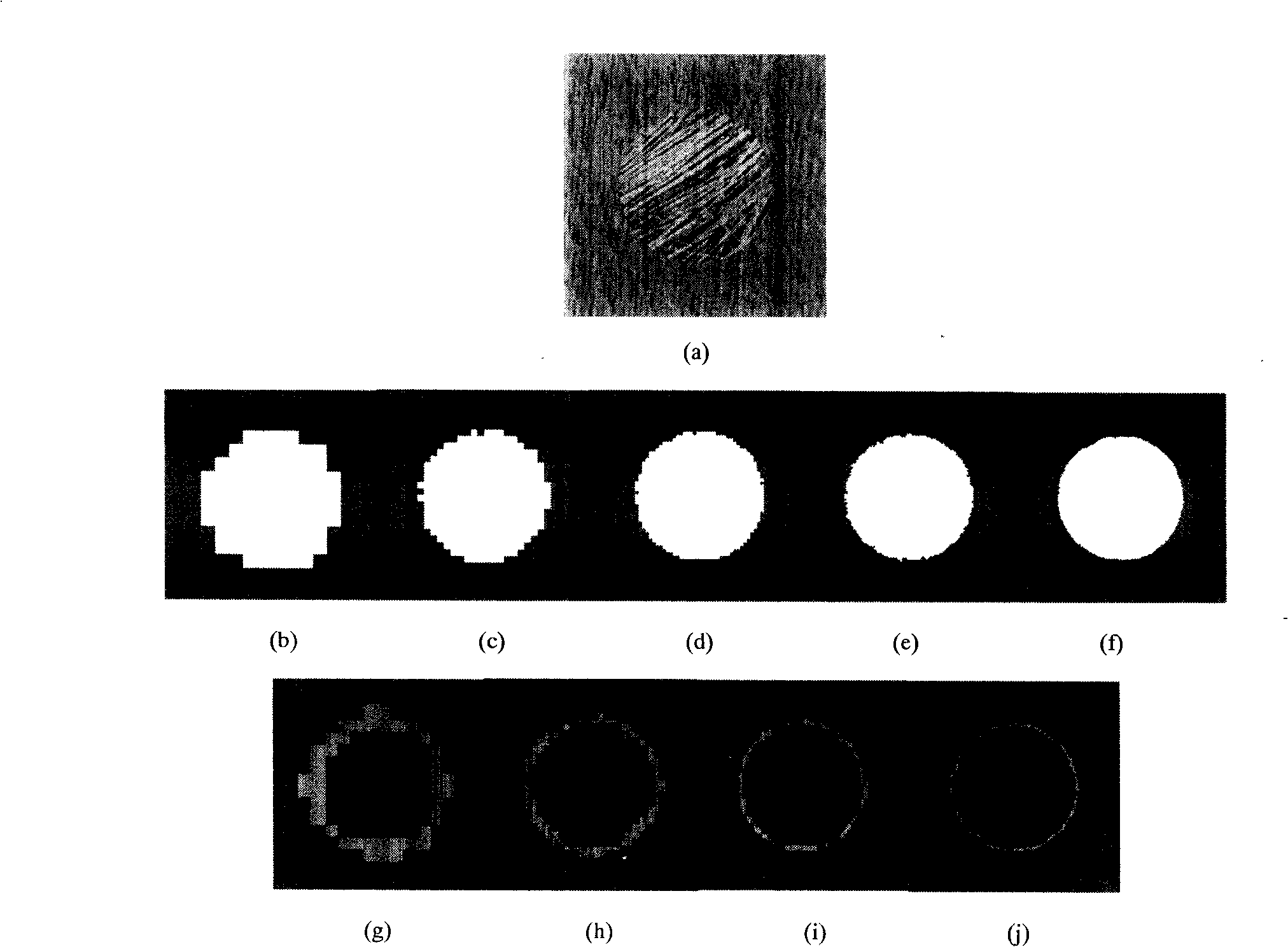 Multi-dimension texture image partition method based on self-adapting window fixing and propagation