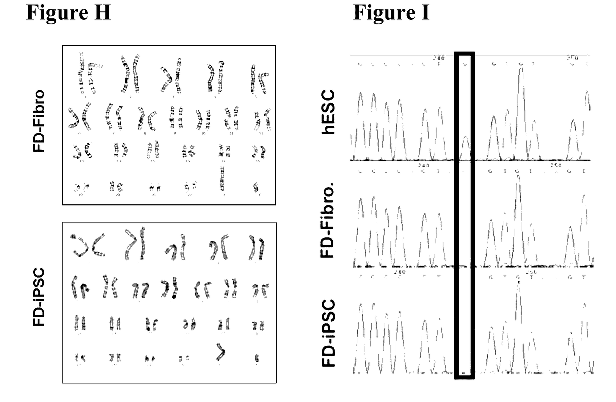 Method for preparing induced pluripotent stem cells