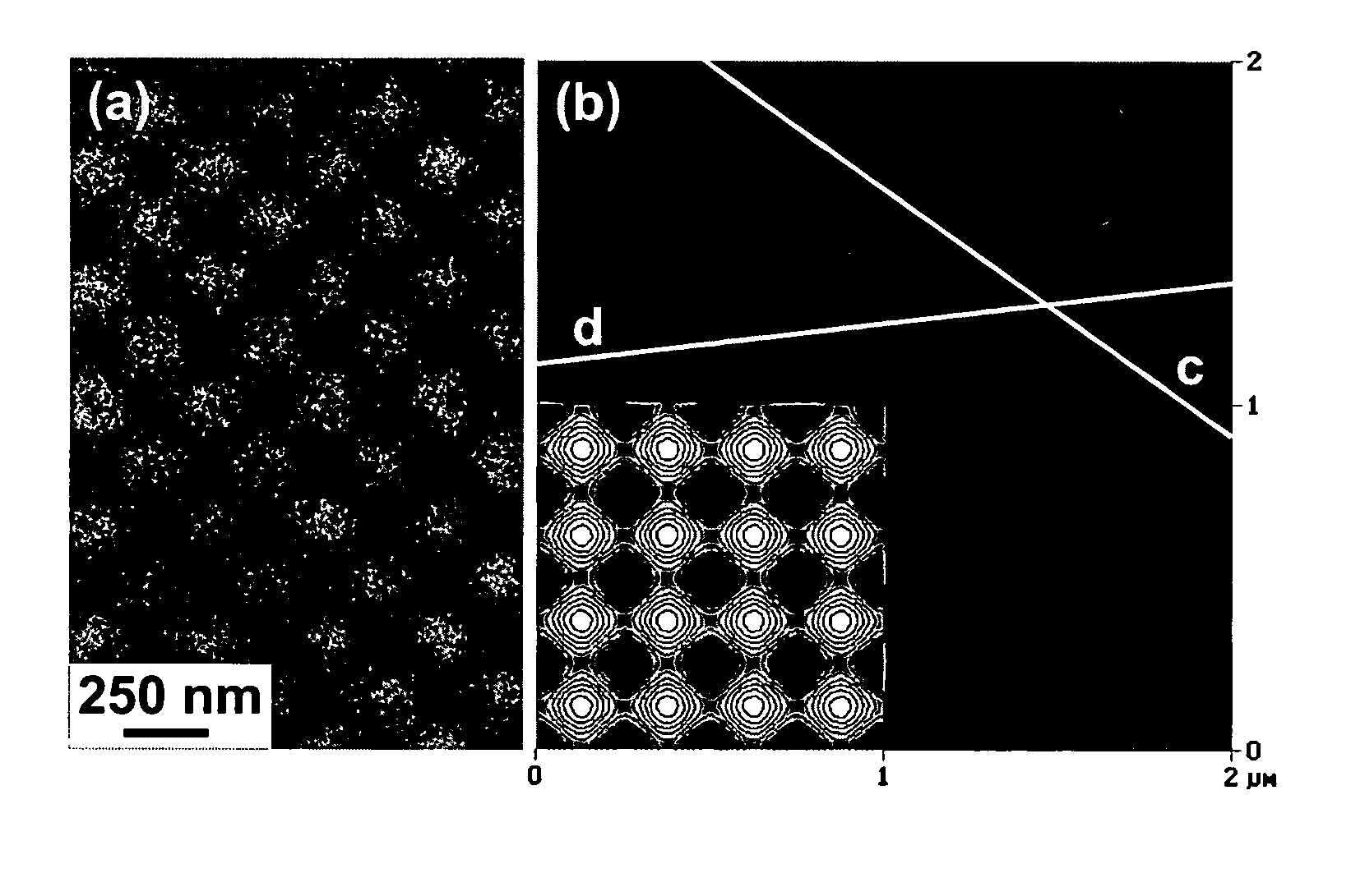 Fabrication method for arranging ultra-fine particles