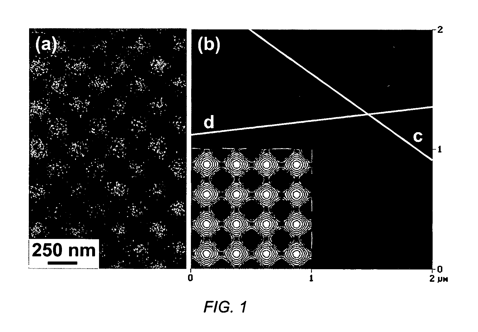 Fabrication method for arranging ultra-fine particles