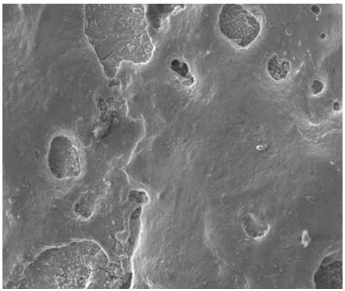 Method for preparing cobalt-based coating on surface of cobalt-based alloy