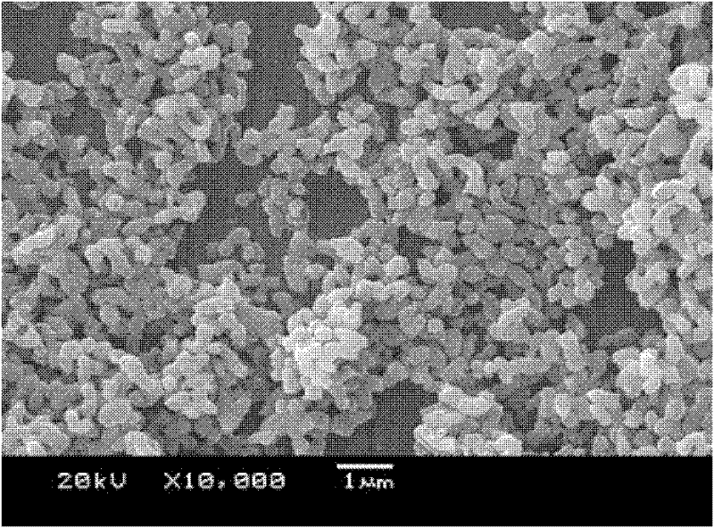 Preparation method of lithium iron phosphate/carbon composite material