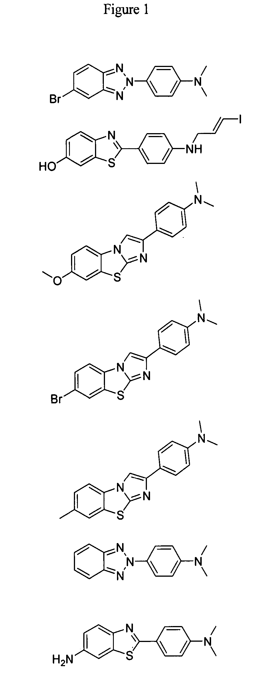 Compounds and amyloid probes thereof for therapeutic and imaging uses