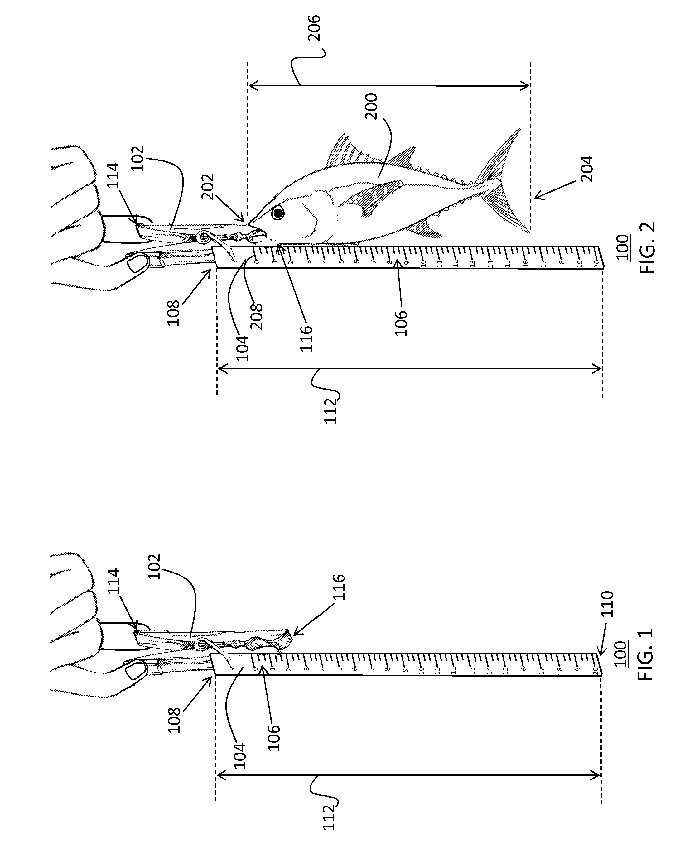 Fish measuring device and method therefore