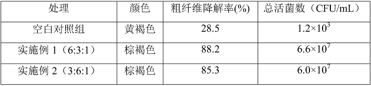 Preparation method and application of high temperature-resistant and salt-resistant kitchen waste decomposing compound bacteria agent