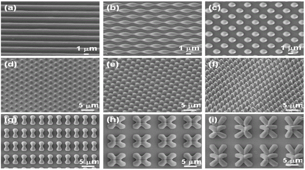 Metal support with micro-nano structure on surface