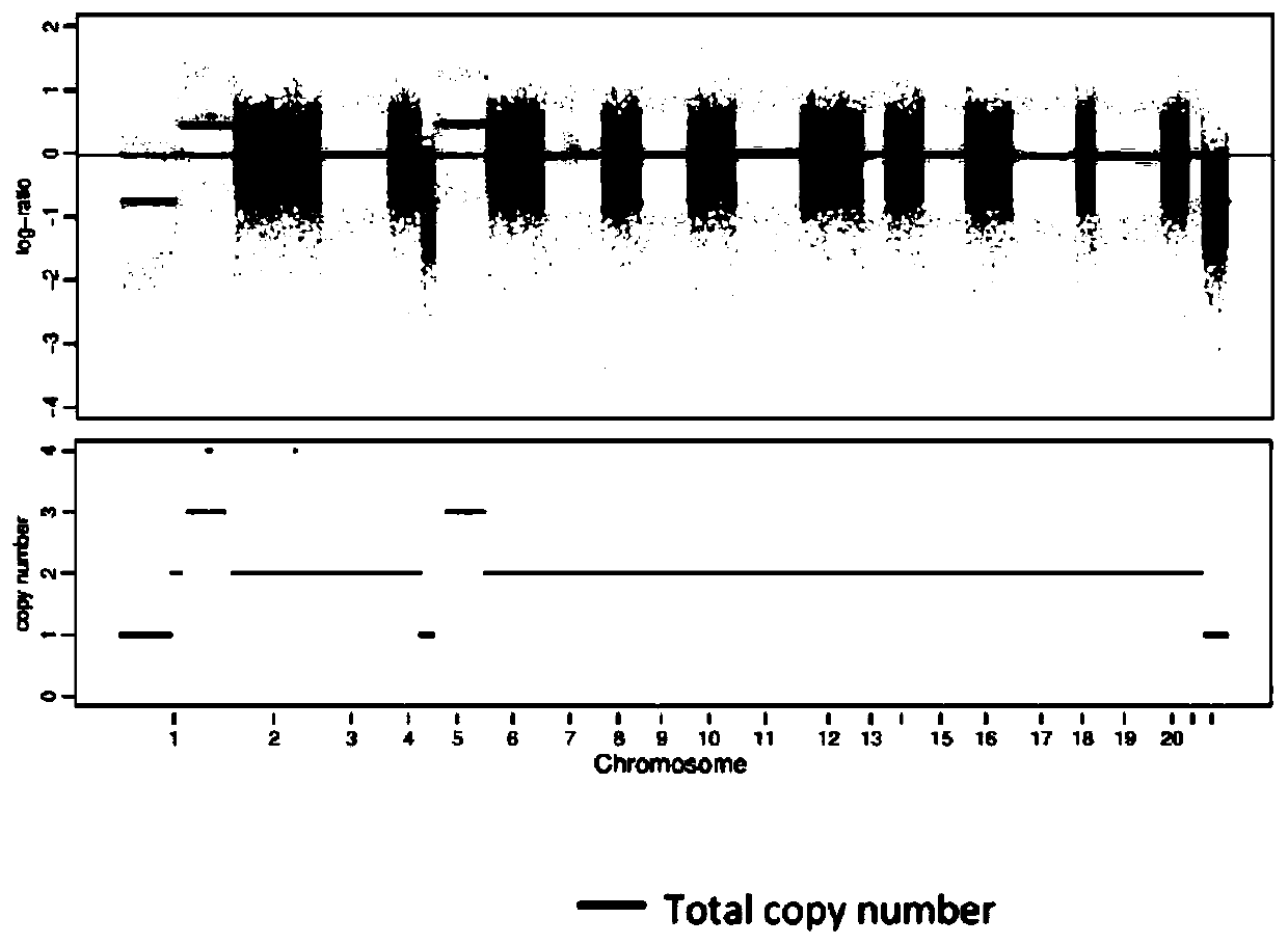 Papillary thyroid carcinoma distant metastasis mutation predicting model, method and system