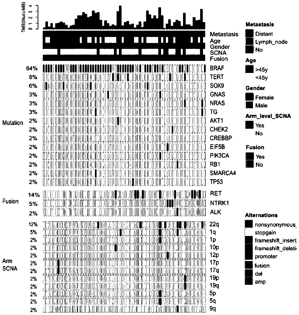 Papillary thyroid carcinoma distant metastasis mutation predicting model, method and system