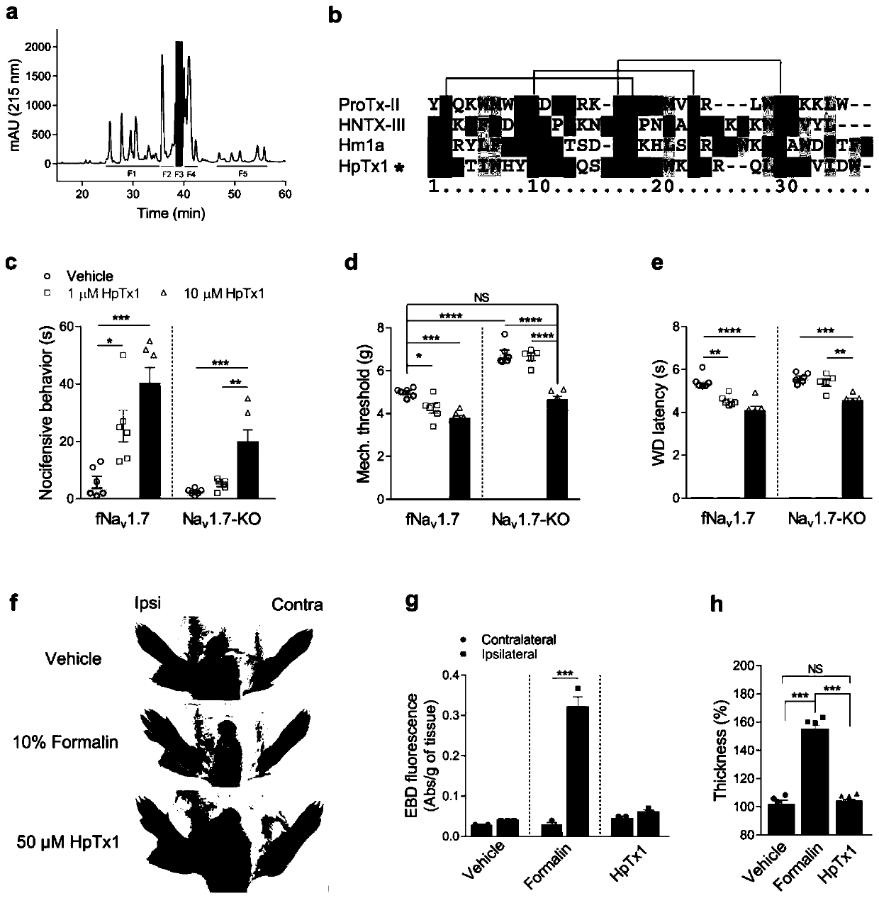 Spider polypeptide toxin with Nav1.9 specific activation effect and application of spider polypeptide toxin