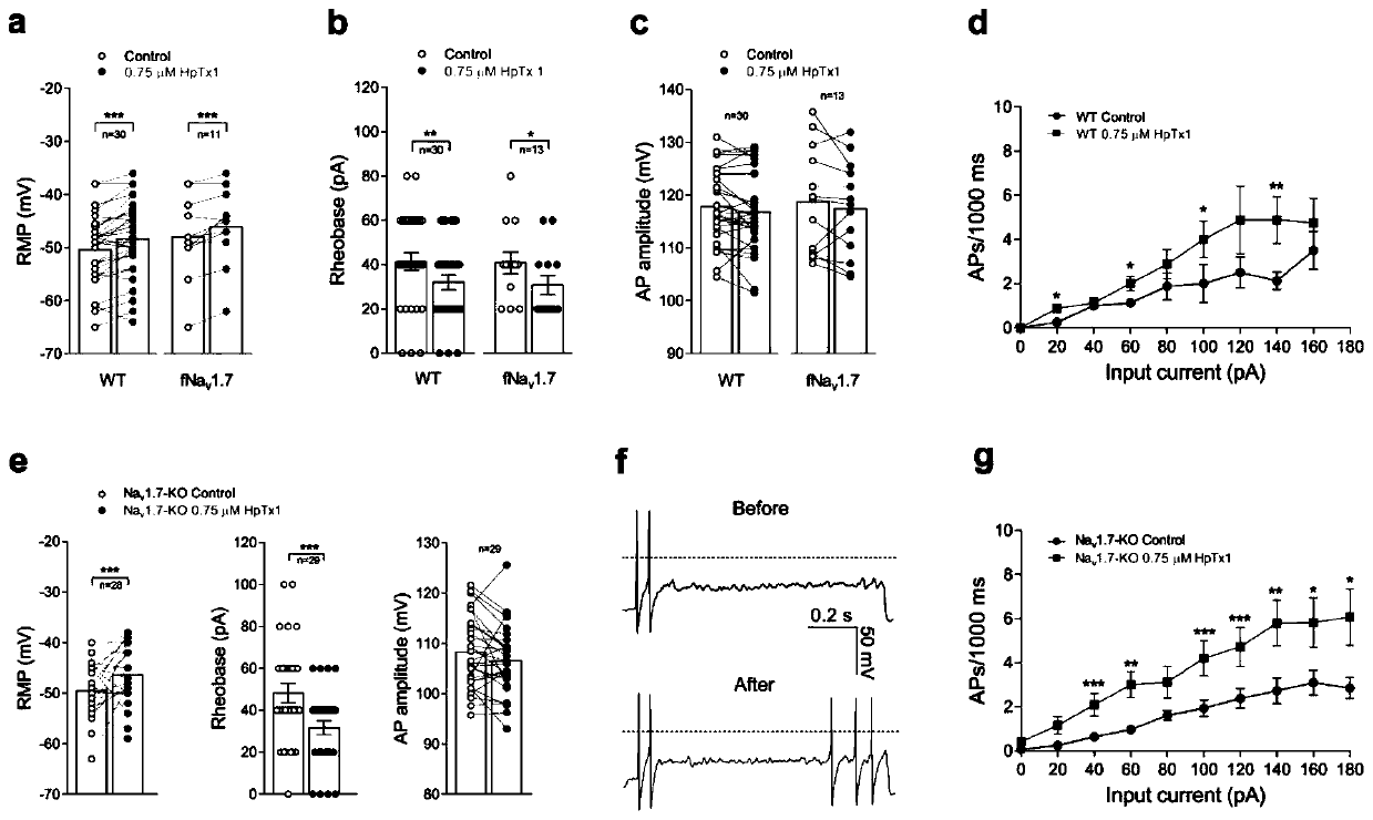 Spider polypeptide toxin with Nav1.9 specific activation effect and application of spider polypeptide toxin