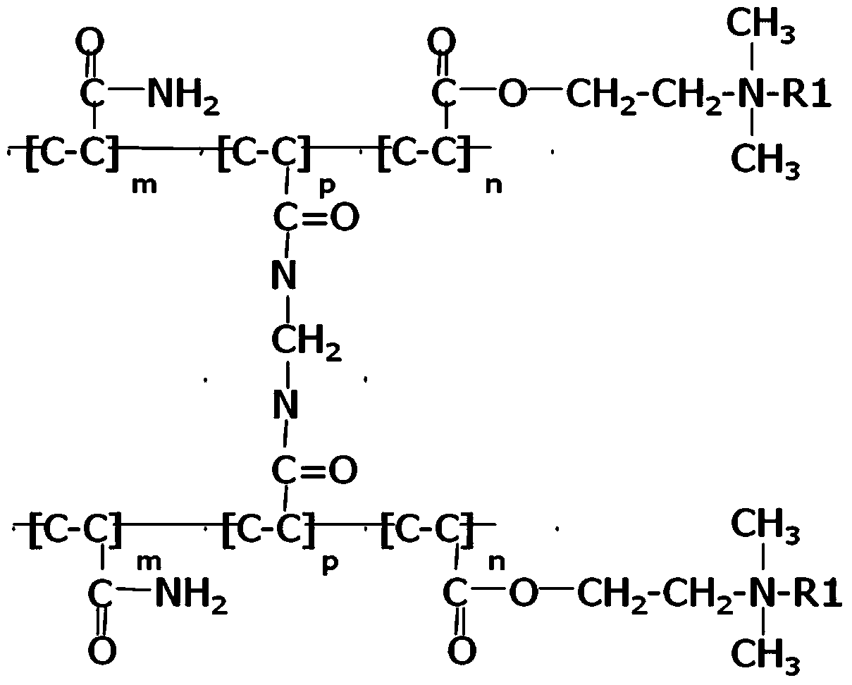 Deoiling agent for oilfield binary composite displacement output sewage and preparation method thereof