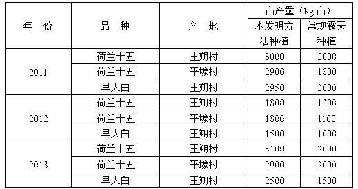 High-yield potato cultivating method