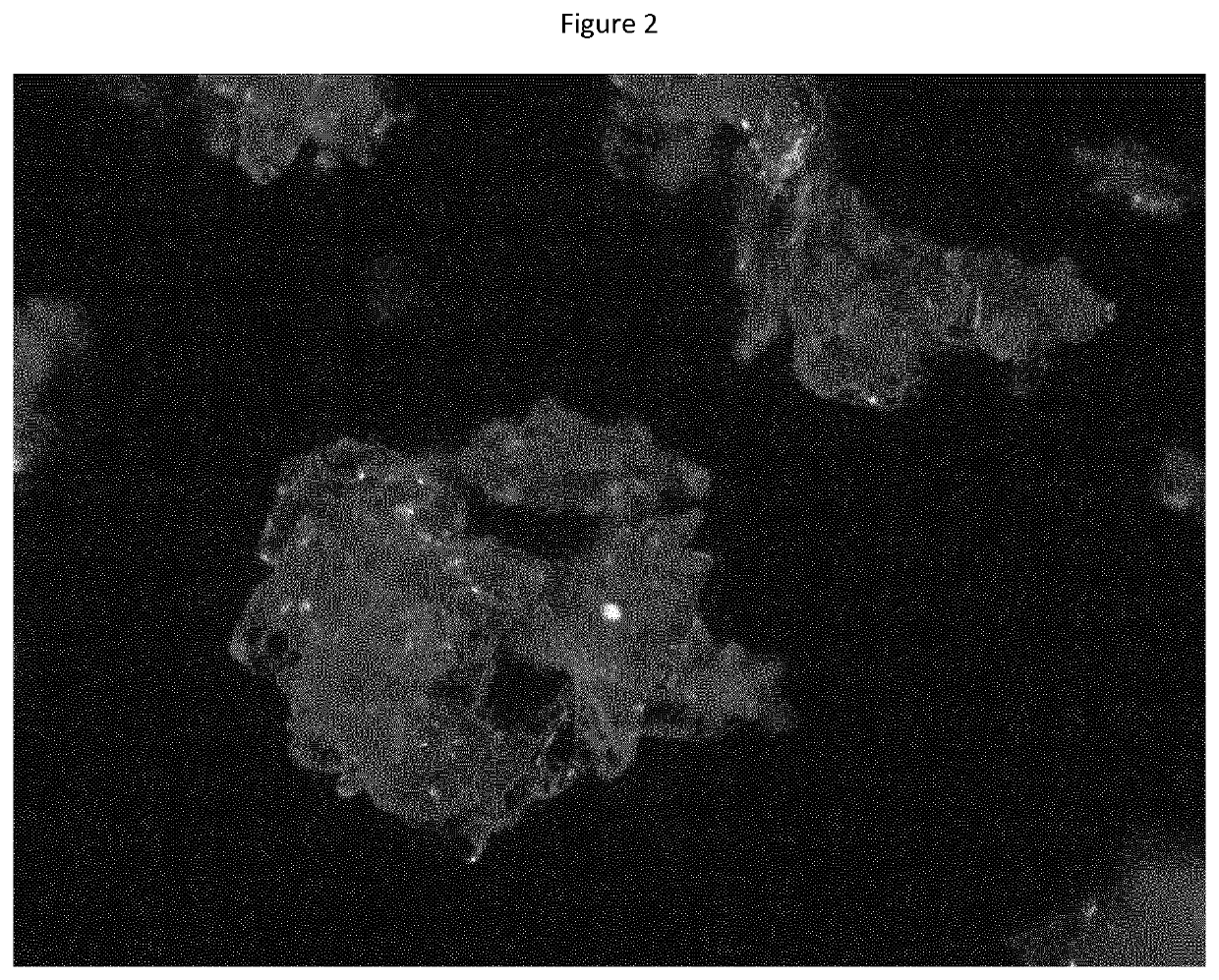 Crystalline 2-fluoro-3-nitrotoluene and process for the preparation thereof