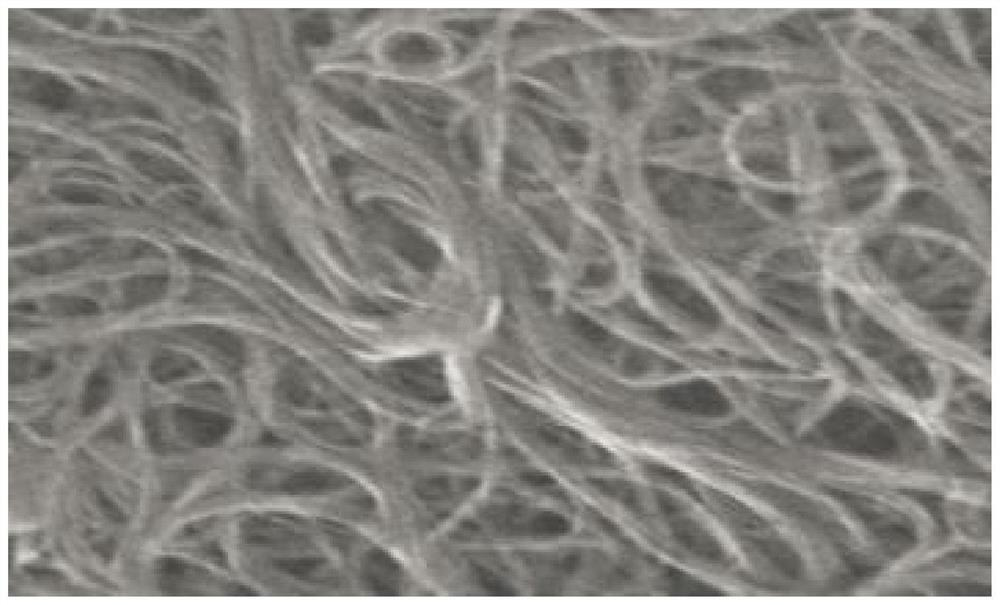 Preparation method of single-walled carbon nanotube powder