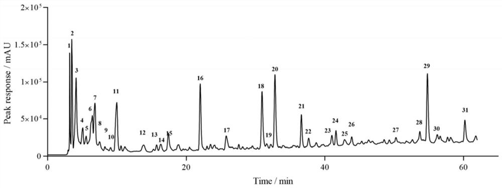 Establishment of mulberry leaf high performance liquid chromatography fingerprint and application of multi-component content determination in quality evaluation of mulberry leaf