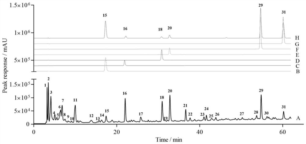 Establishment of mulberry leaf high performance liquid chromatography fingerprint and application of multi-component content determination in quality evaluation of mulberry leaf