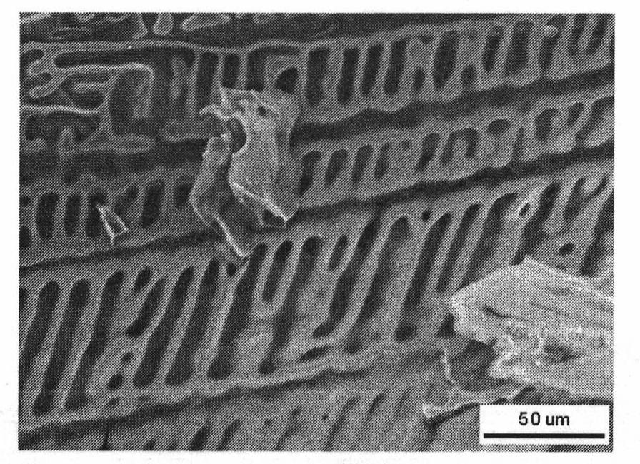 Ordered porous silica and silicon carbonitride and preparation method and application thereof