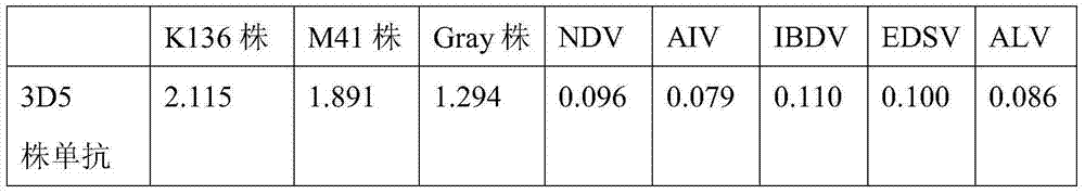 Avian infectious bronchitis virus IBV-K136, monoclonal antibody cell line 3D5 prepared by using avian infectious bronchitis virus IBV-K136, monoclonal antibodies, and applications of avian infectious bronchitis virus IBV-K136 and monoclonal antibodies