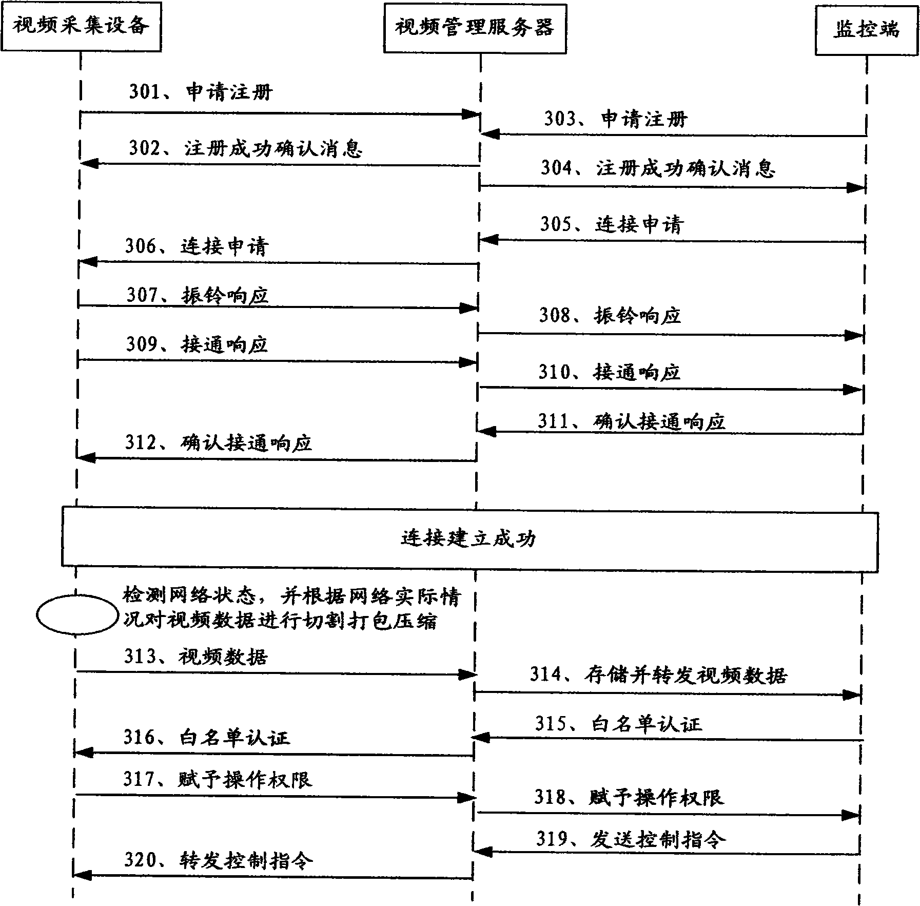 Network video monitoring method and system