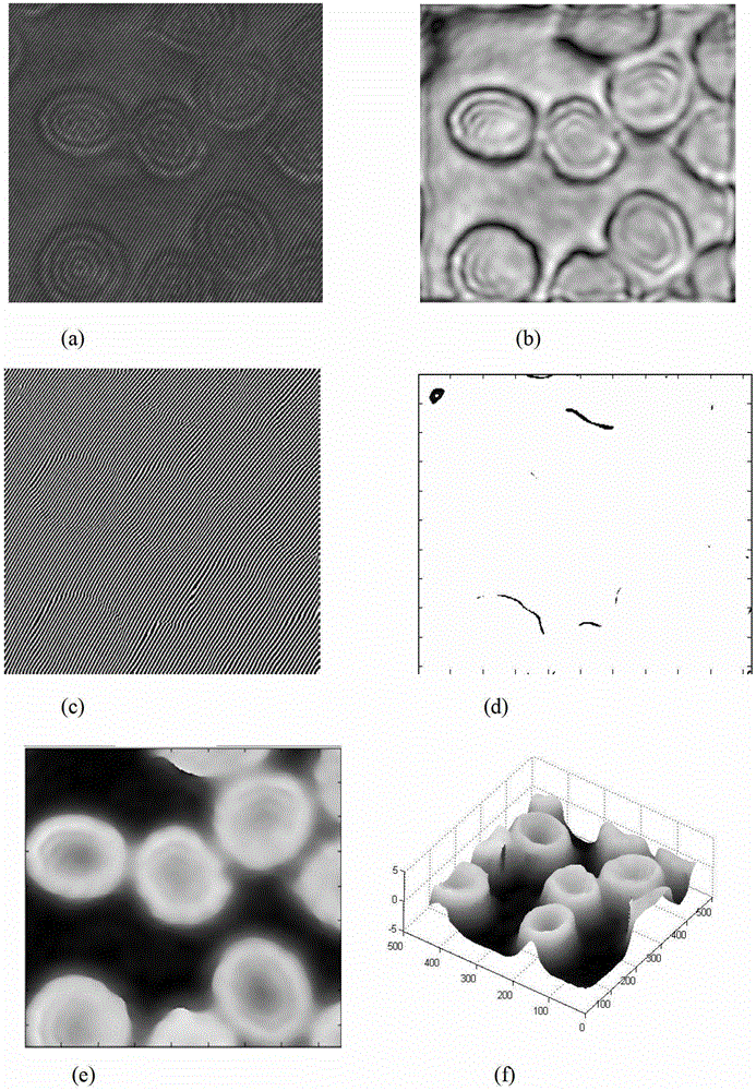 Rapid package removal method of digital microscopic holographic phase diagram