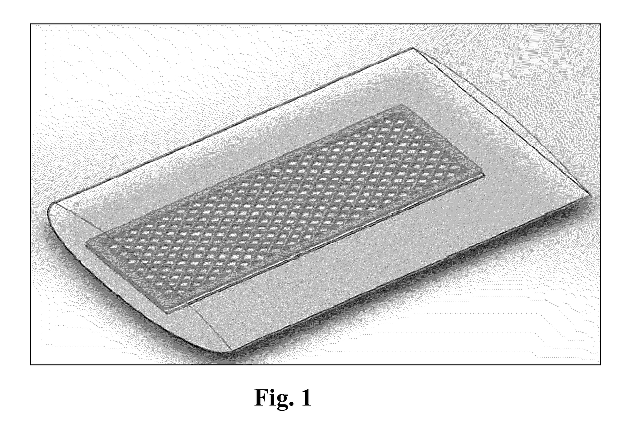 Fenestration kits for making fenestrated placental tissue allografts and methods of using the same