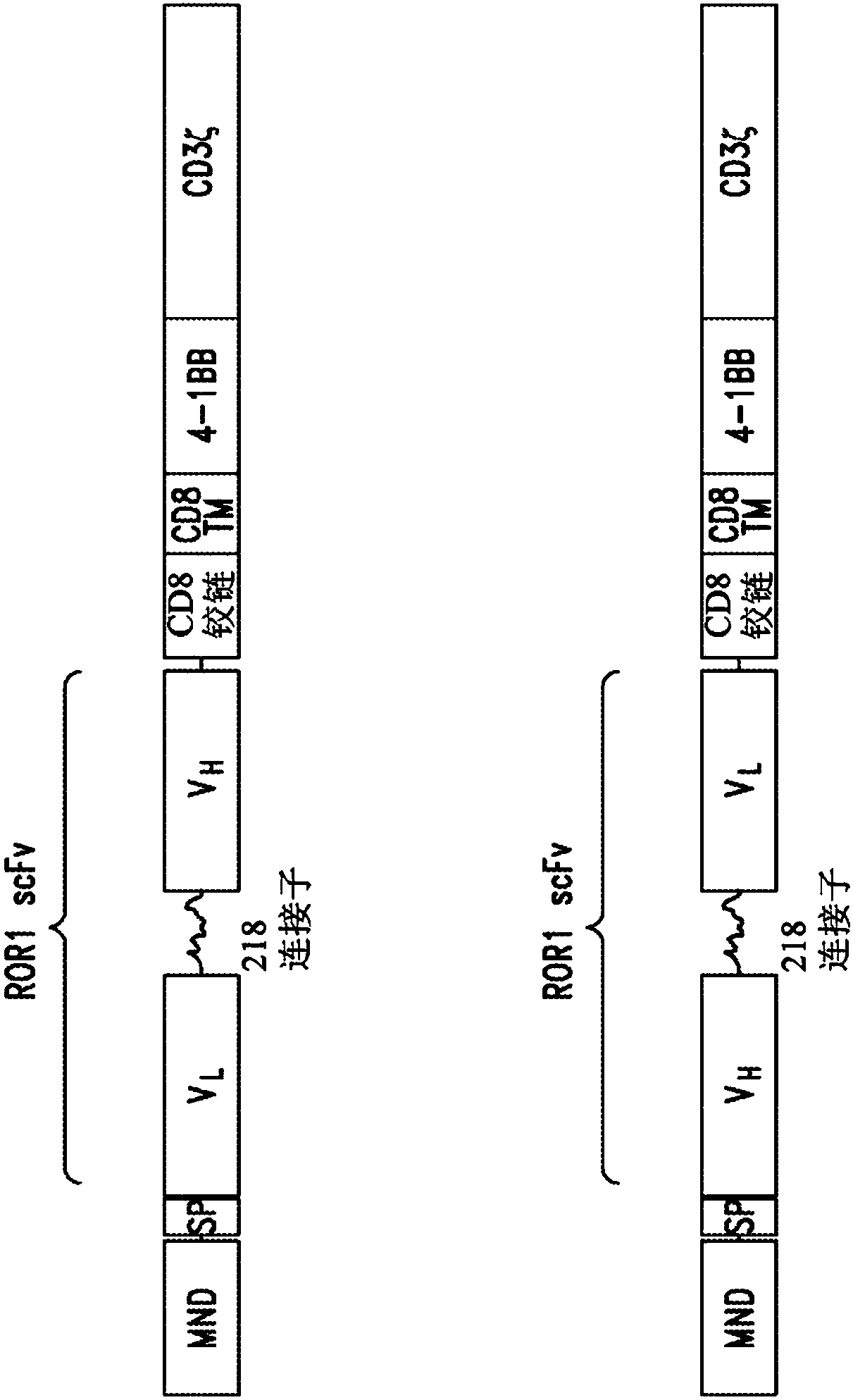 Anti-ROR1 chimeric antigen receptors