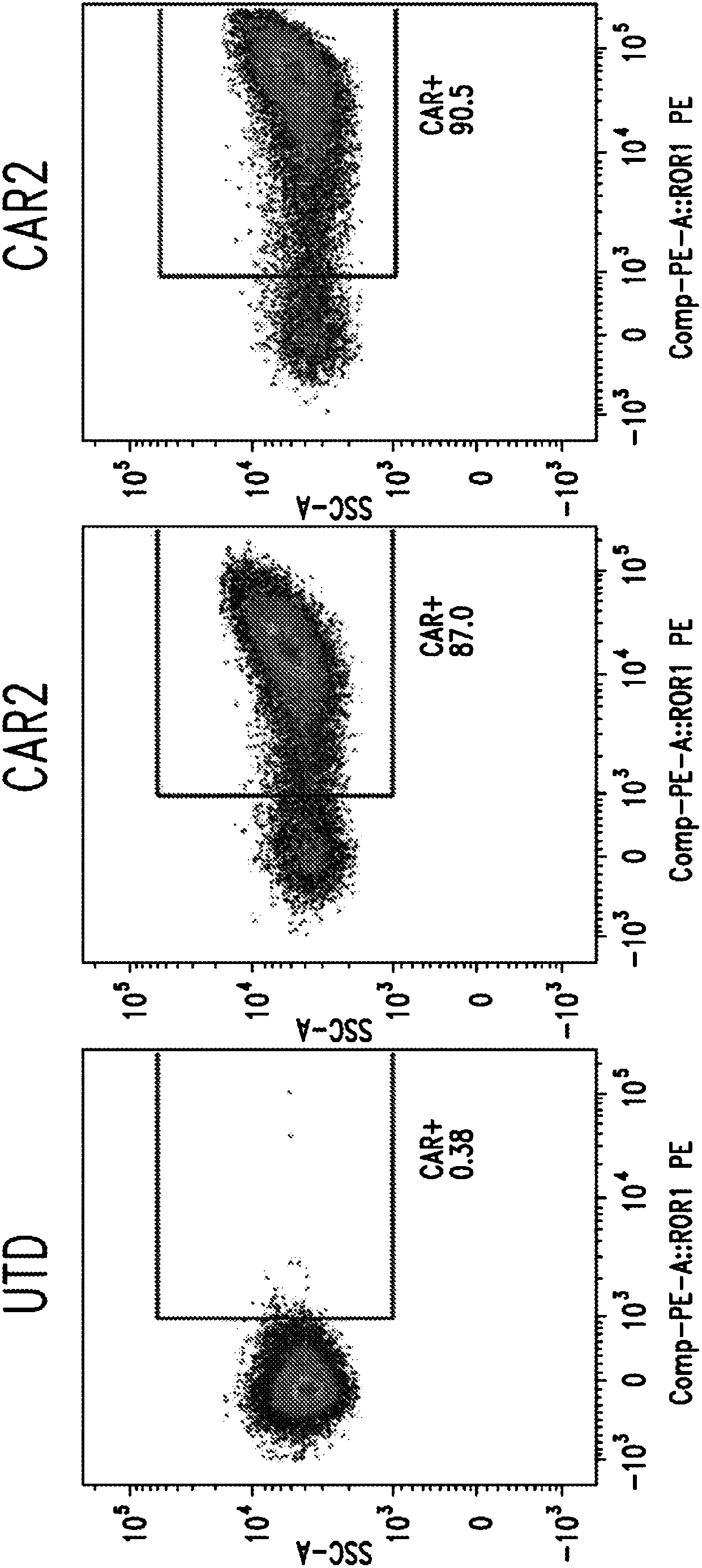 Anti-ROR1 chimeric antigen receptors