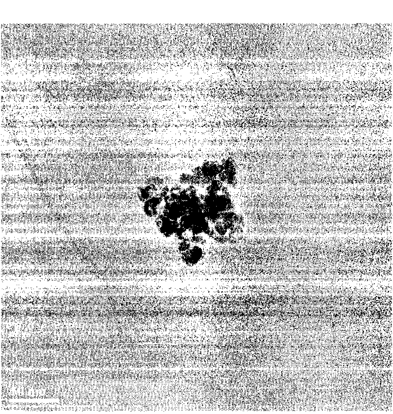 Preparation method of nano sulfur slurry