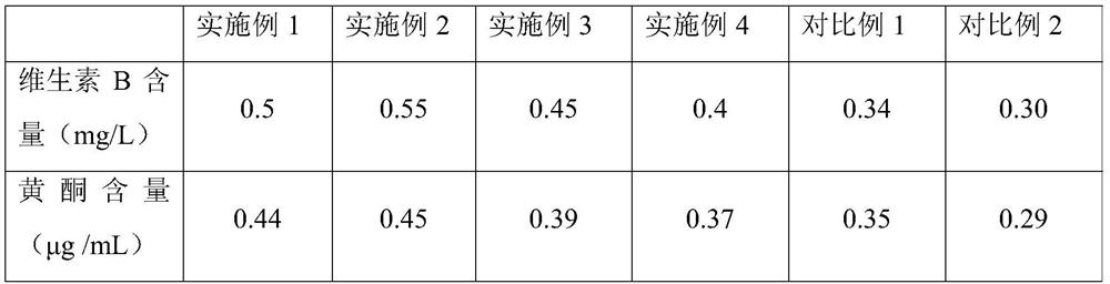 Dark tea beverage and preparation method thereof