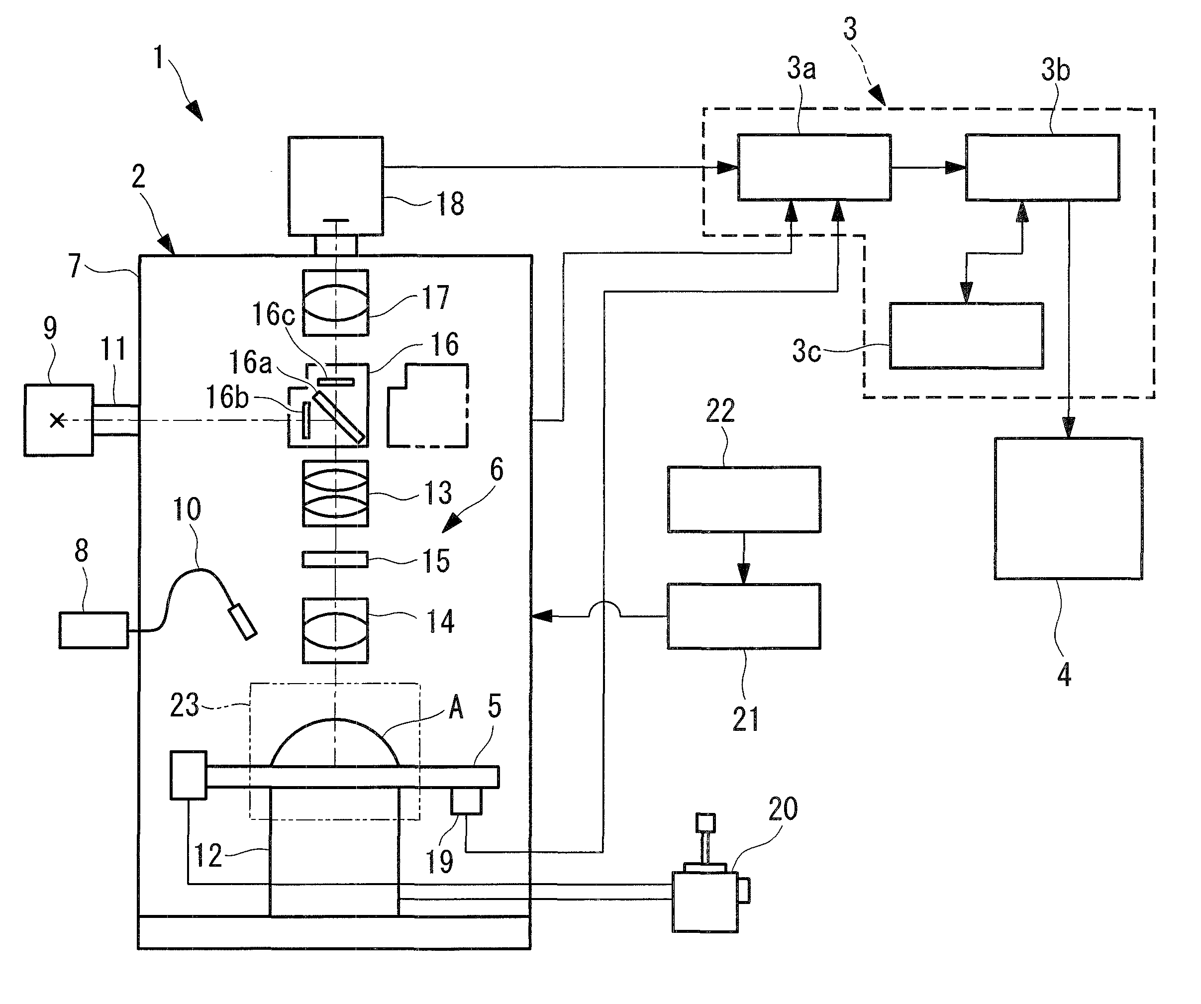 Biological-specimen observation apparatus