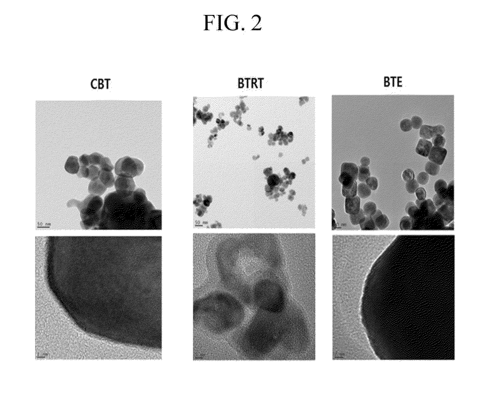 Carbon dioxide adsorbent including barium titanate, carbon dioxide capture module including the same, and methods for separating carbon dioxide using the same