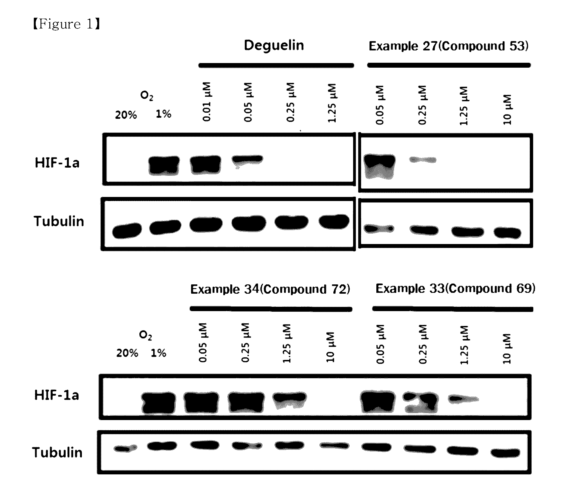 Novel compound or pharmaceutically acceptable salt thereof, and pharmaceutical composition containing same as active ingredient