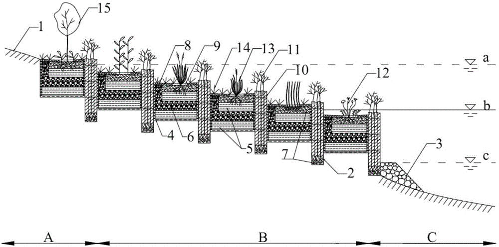 Method for restoring vegetations in water-level-fluctuating zone