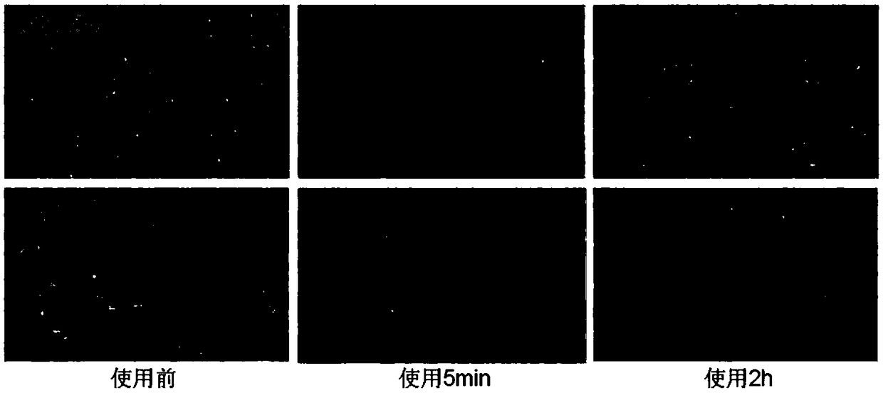 Moisturizing lotion and preparation method thereof