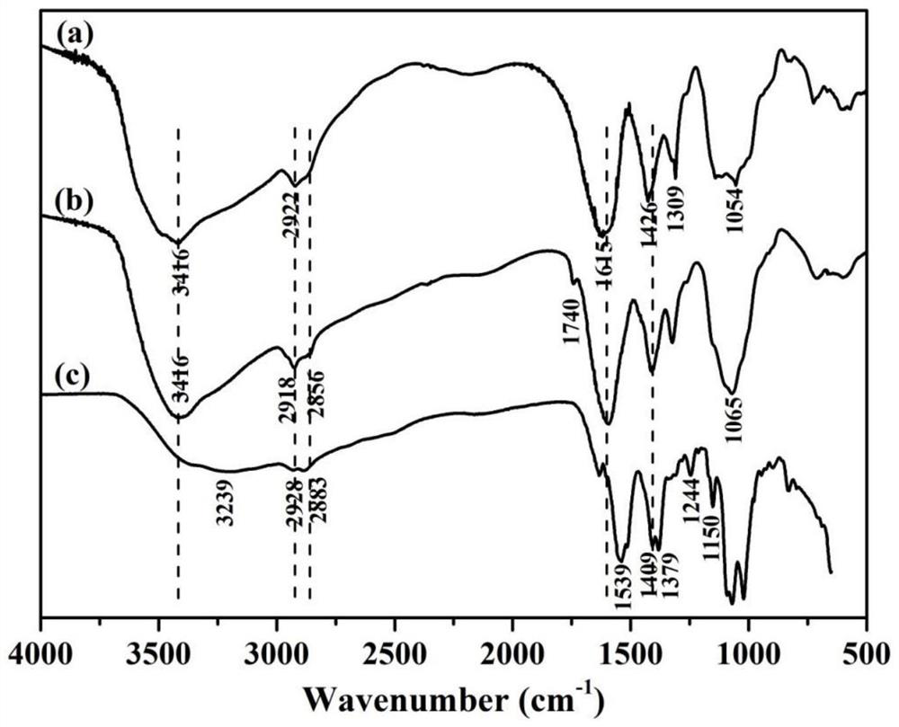 Chitosan plant essential oil microcapsule composite coating preservative as well as preparation method and application thereof