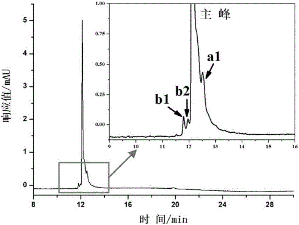 Protein modification open tubular column and application of protein modification open tubular column to monoclonal antibody charge isomer separation