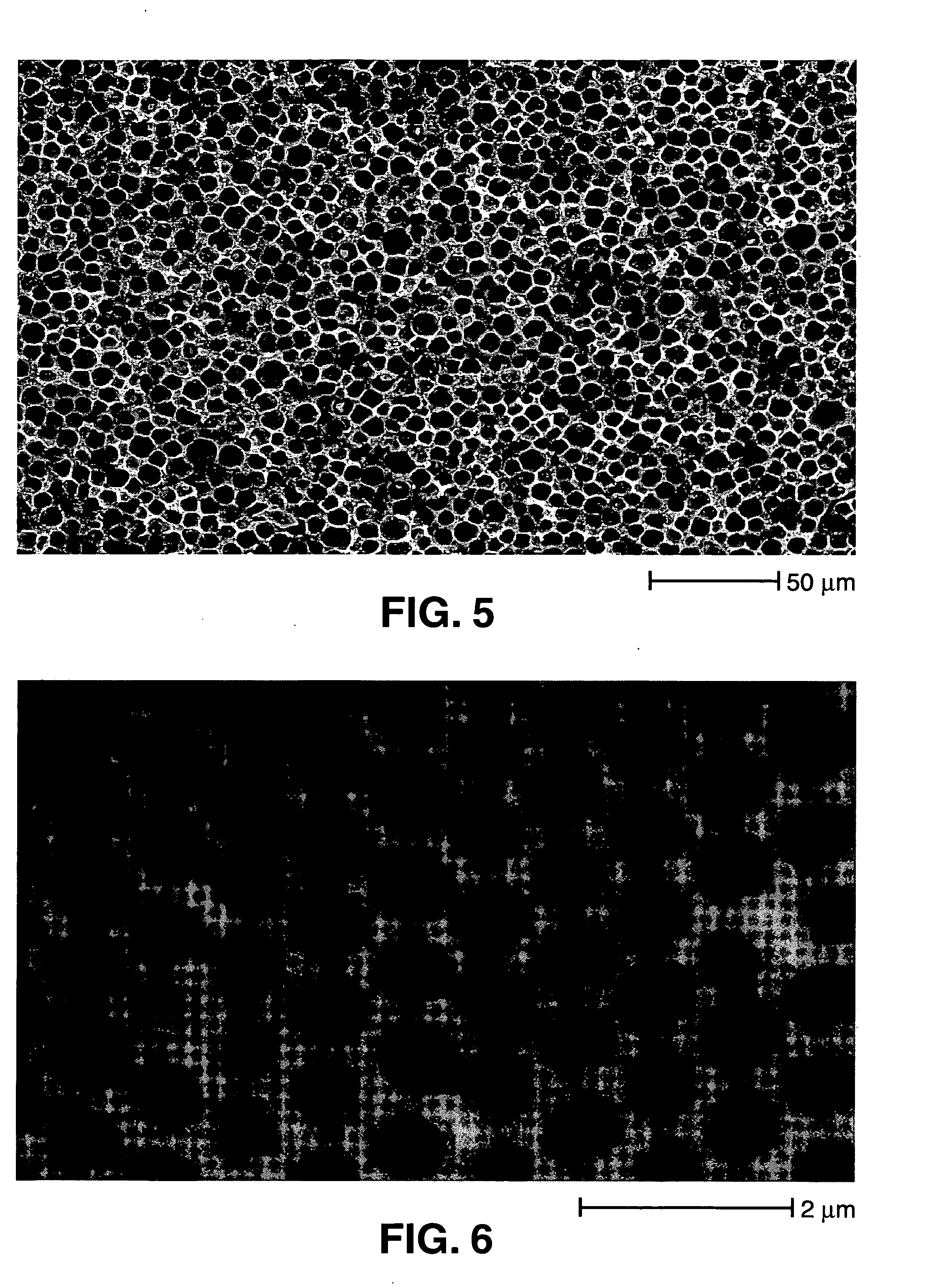 Robust carbon monolith having hierarchical porosity