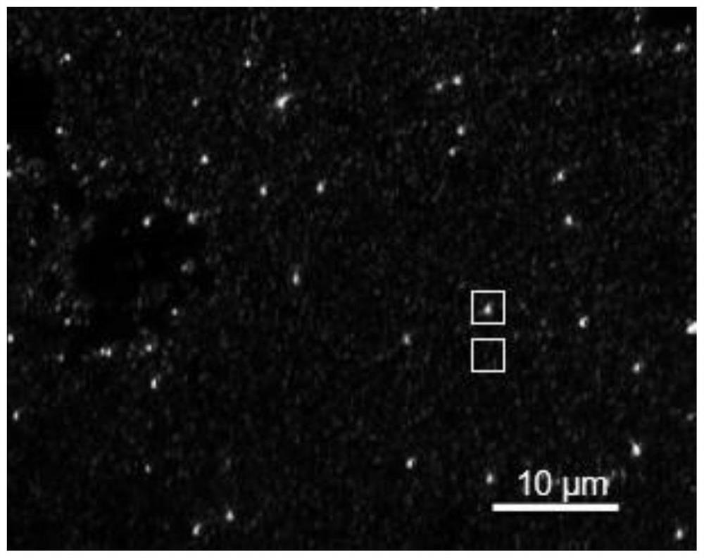 An electrochemical imaging system and method based on graphene tunable light scattering properties