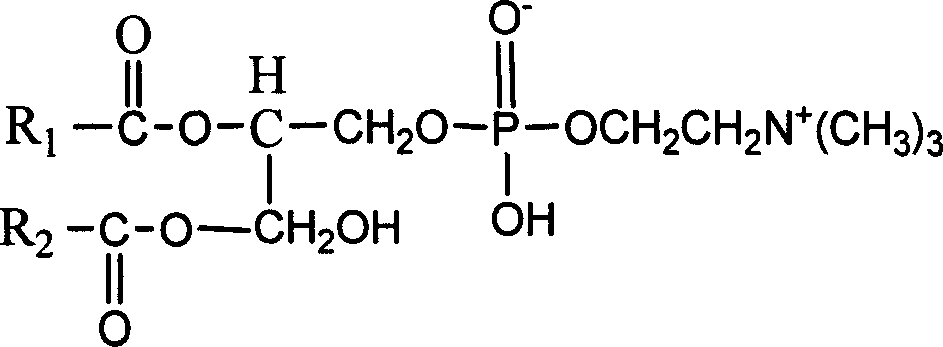 Polymer/ montorillonite clay- soy bean lecithin-sulfadiazine silver nano antibacterial composite material and its preparation method