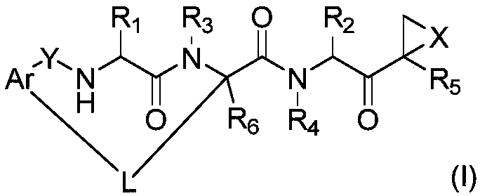 Macrocyclic ketone peptide compound as well as preparation method and medical purpose thereof