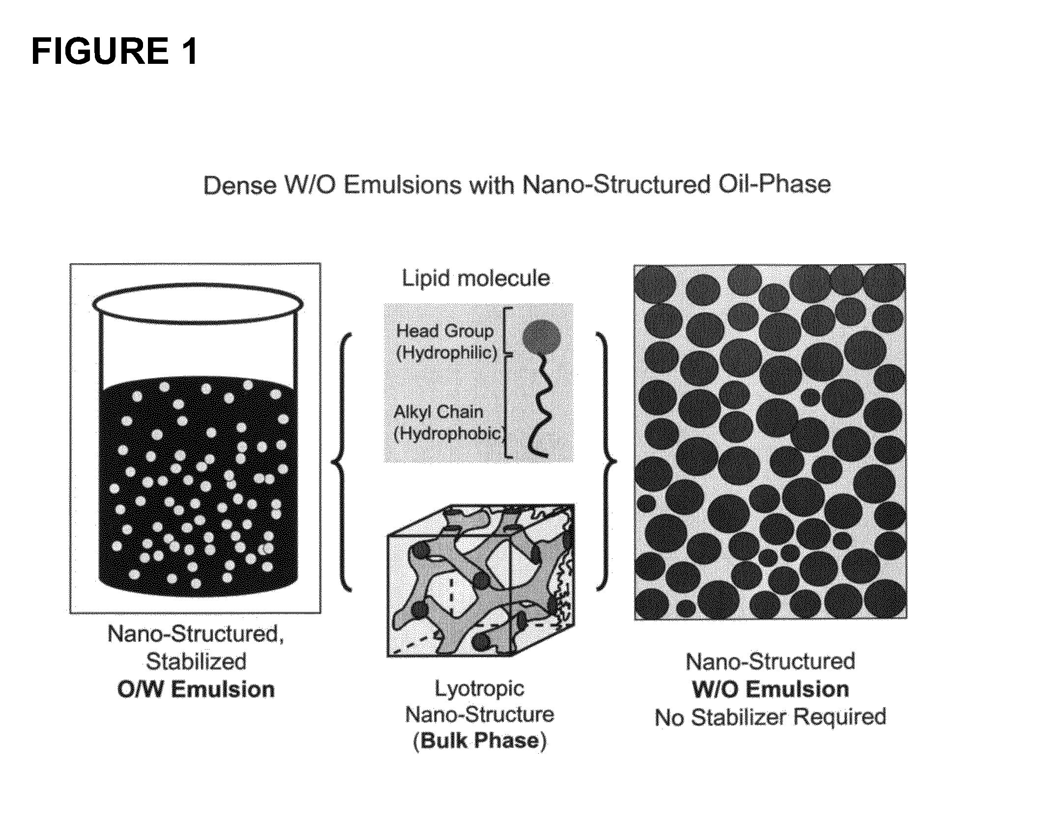 Water-in-oil emulsions and methods for their preparation