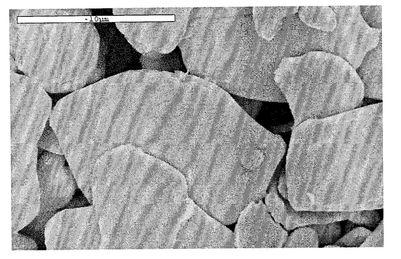 Micron flaky silver grains and production method thereof