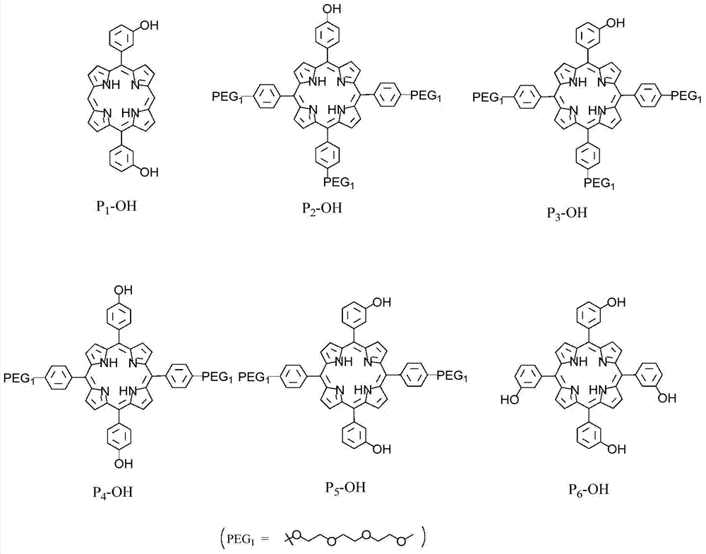 A kind of amphiphilic porphyrin photosensitizer and its preparation and application