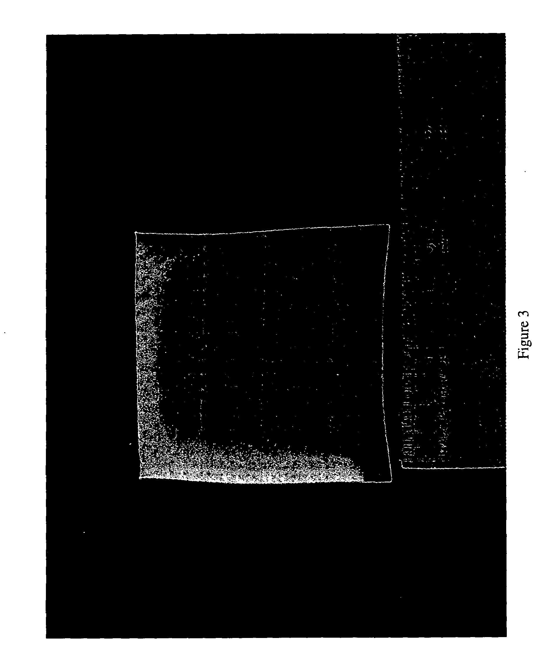 Lowered exotherm thermoset compositions