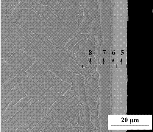 Gamma-TiAl alloy surface high temperature oxidation resistance and wear resistance coat, and preparation method thereof