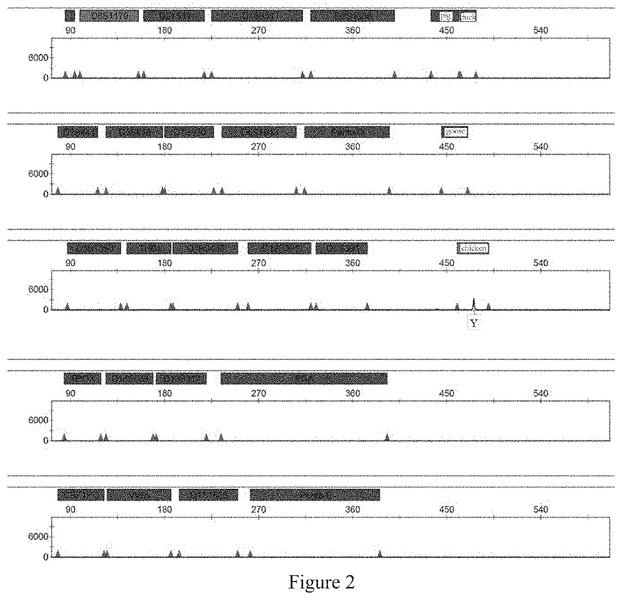 Multiplex PCR amplification method for species and human individual recognition and identification of unknown biological sample suspected to be from human