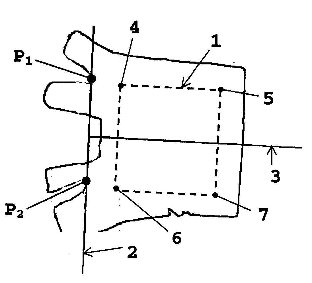 Method of palm print identification