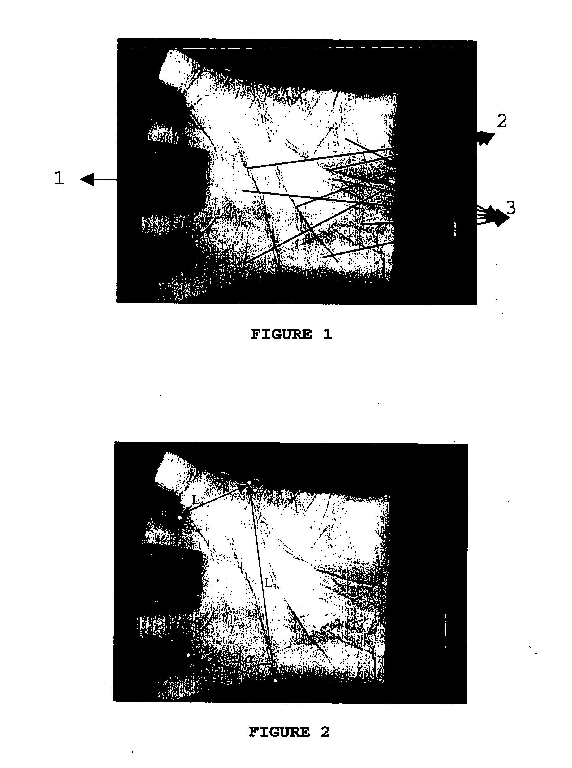 Method of palm print identification