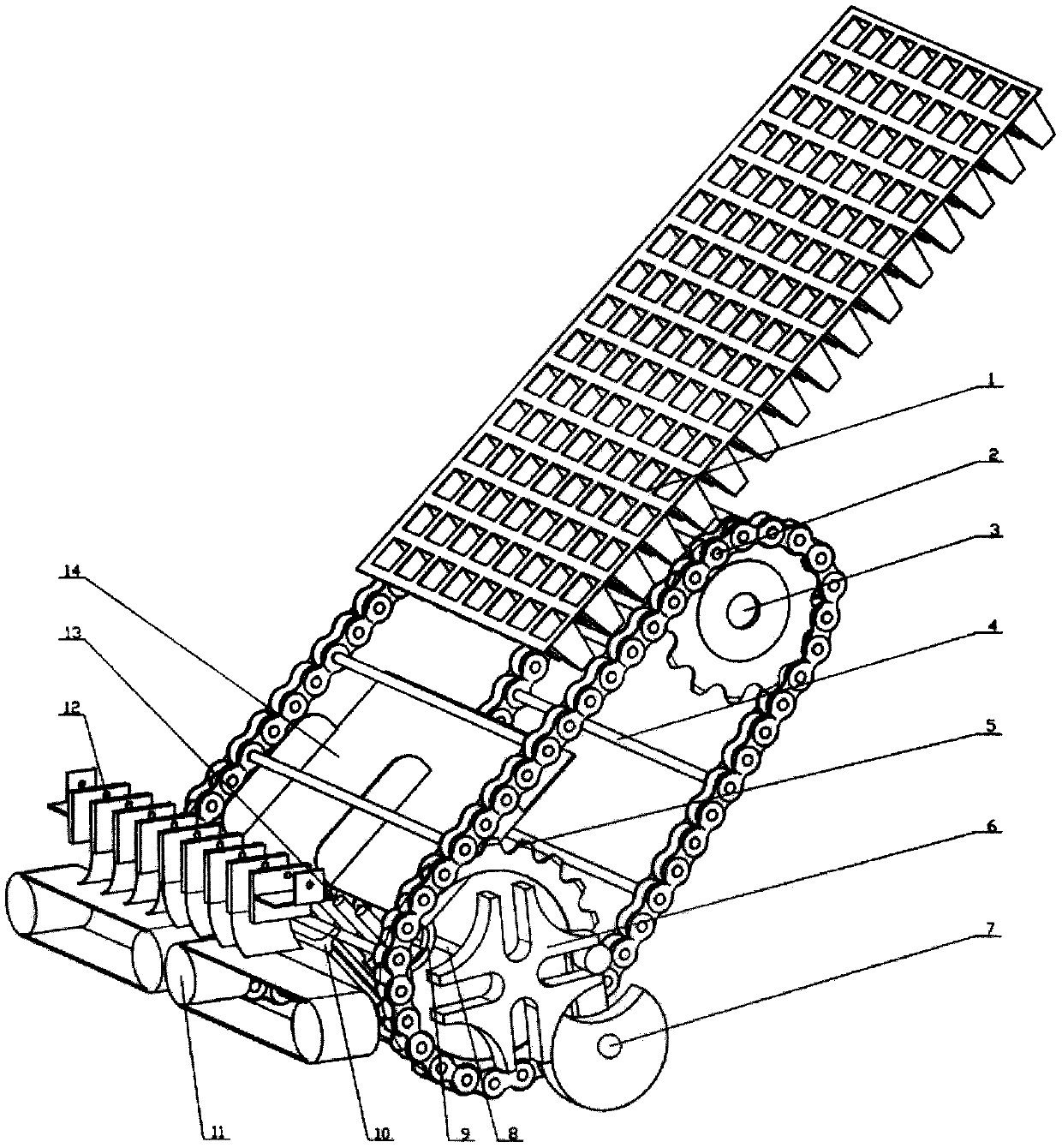 Automatic seedling-distributing apparatus for vegetable transplanting